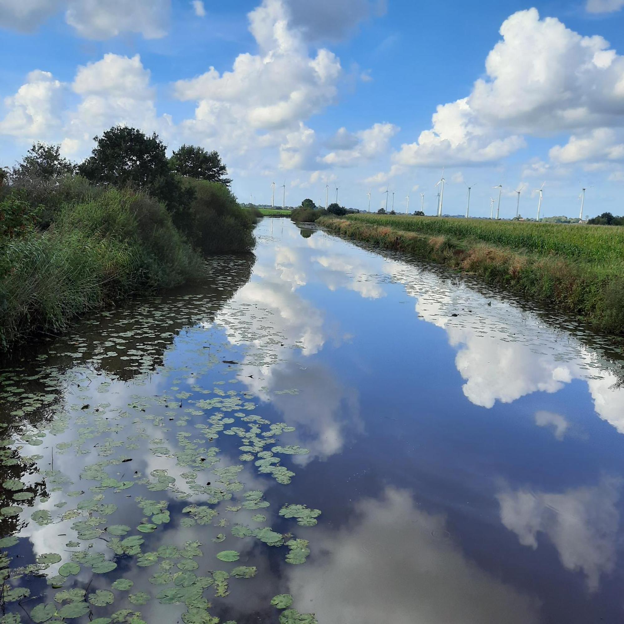 Harle-Casa.Ostfriesland Villa Altfunnixsiel ภายนอก รูปภาพ